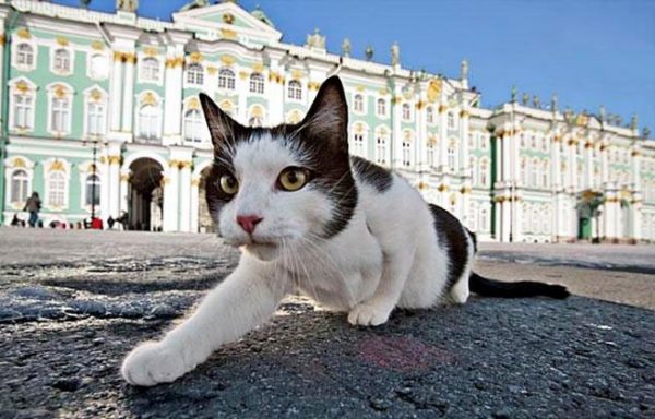 Главный дворец Российской Империи