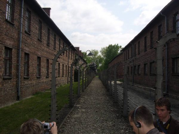 Идя сквозь тишину Освенцима