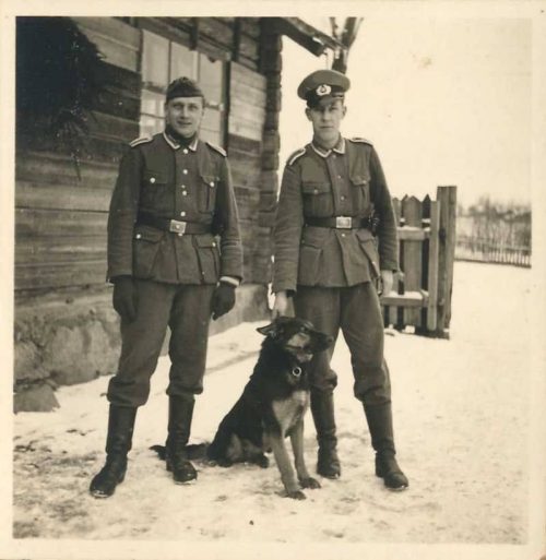 Дуэль русской собаки и немецкого пса