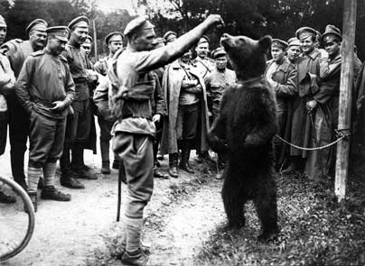Пиар по-царски: медведь на службе в армии
