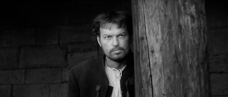 Народный артист СССР Регимантас Адомайтис: биография, фильмография и личная жизнь